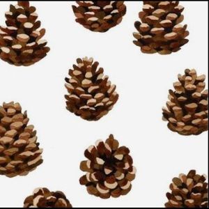 Meet your Posher, Mariah